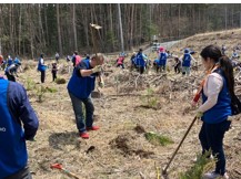 NEXTY Electronics Grows Future Forests with Toyota Tsusho Group’s Forestry Project